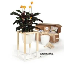 CREATE! By OBI DIY Pflanzständer Klein
