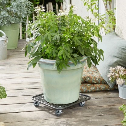 Wagner Pflanzenroller GH 0937 30 Cm X 30 Cm Schwarz – Bild 2