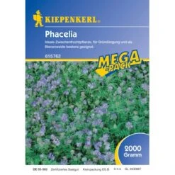 Kiepenkerl Phacelia
