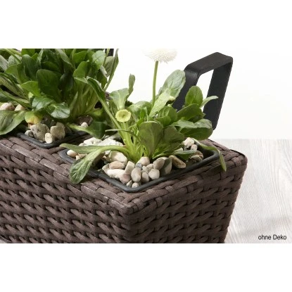 Gartenfreude Balkonkasten Polyrattan 47 Cm X 17 Cm Mocca 4er-Set – Bild 3