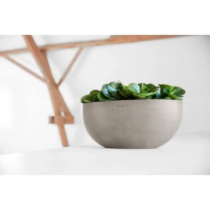 Ecopots Pflanzschale Sofia Big Braungrau 43 Cm X 250 Cm X 17,5 Cm – Bild 2