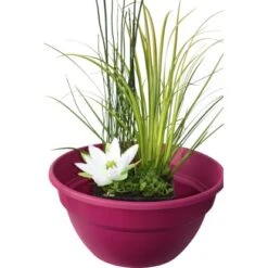 Wasserpflanzen Mix Im Korb Topf-Ø Ca. 45 Cm