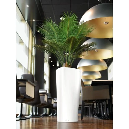 Lechuza Pflanzgefäß Delta Premium Ø 30 Cm X 56 Cm Weiß Hochglanz – Bild 6