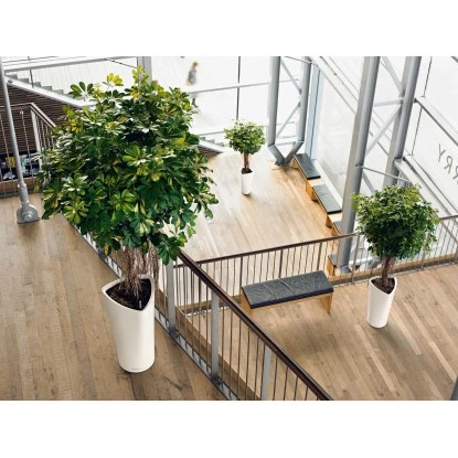 Lechuza Pflanzgefäß Delta Premium Ø 30 Cm X 56 Cm Weiß Hochglanz – Bild 8