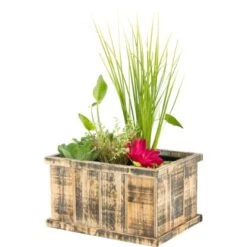 OBI Terrassenteich In Holzkiste Brussels Braun Topf-Ø Ca. 40 Cm