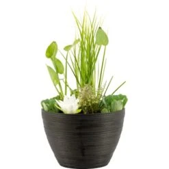 OBI Terrassenteich Im Anthrazitfarbenen Gefäß Topf-Ø Ca. 38 Cm
