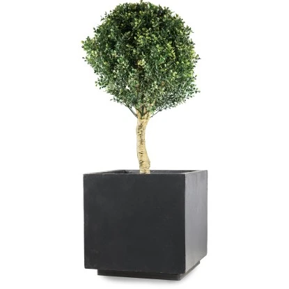 Pflanzwerk® Ultraflacher XL Pflanzenroller 38 Cm X 38 Cm – Bild 5