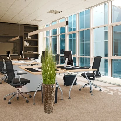 Gartenfreude Blumentopf Wasserhyazinthe 28 X 28 X 60 Cm Braun Kunststoffeinsatz – Bild 6