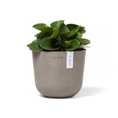 Ecopots Pflanztopf Oslo Mini Braungrau 16 Cm X 14 Cm – Bild 2