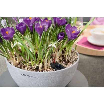 Lechuza Pflanzgefäß Cubeto Stone 30 Steingrau Ø 30 Cm – Bild 5