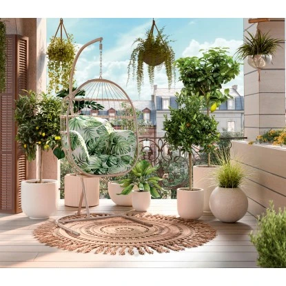 Orangenbaum Stamm XXL "Calamondin" Ca. 140 Cm - 160 Cm Citrus Mitis GROW By OBI – Bild 4