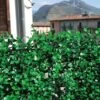 Tenax Künstliche Hecke Divy 3D Panel Buxus InTense 0,5 M X 1 M Grün
