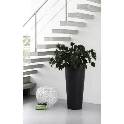 Elho Blumentopf Pure Straight Hoch Ø 38,5 Cm Anthrazit – Bild 5