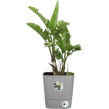 Elho Blumentopf Greensense Aqua Care Eckig 38,9 Cm X 38 Cm Light Beton – Bild 8
