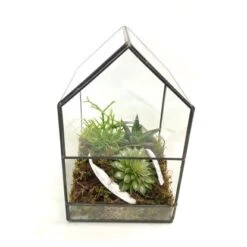 Grünpflanzen-Arrangment Im Glas-Haus Topf-Ø Ca. 18 Cm