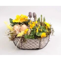 Frühlingsschale Höhe Ca. 20 - 25 Cm Im Metallkorb