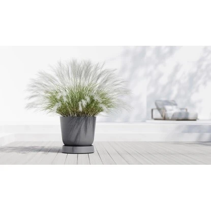 Ecopots Untersetzer Oslo Rollen Grau 50 Cm X 10,5 Cm – Bild 2