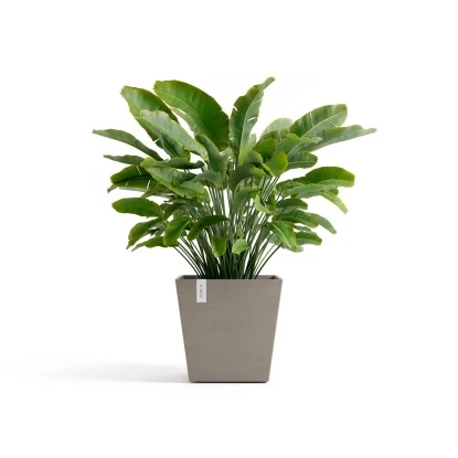 Ecopots Pflanztopf Rotterdam Braungrau 45,4 Cm X 44 Cm – Bild 2