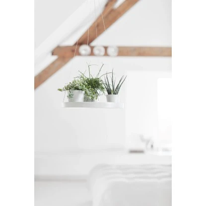 Ecopots Untersetzer Hängend Weiß 36 Cm X 3 Cm – Bild 2