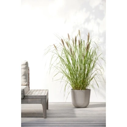 Ecopots Pflanztopf Oslo Braungrau 25 Cm X 21,8 Cm – Bild 3